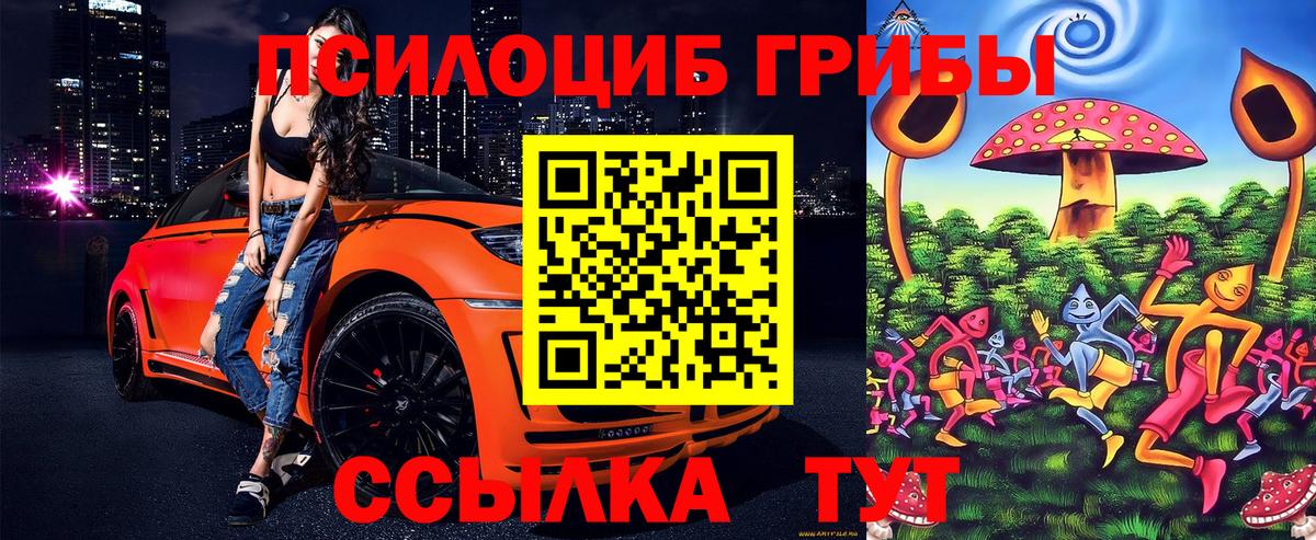 Псилоцибиновые грибы Psilocybine cubensis Похвистнево
